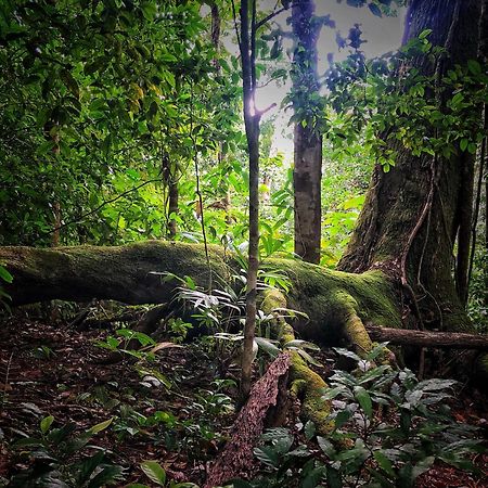 El Remanso Rainforest Lodge Puerto Jiménez Zewnętrze zdjęcie