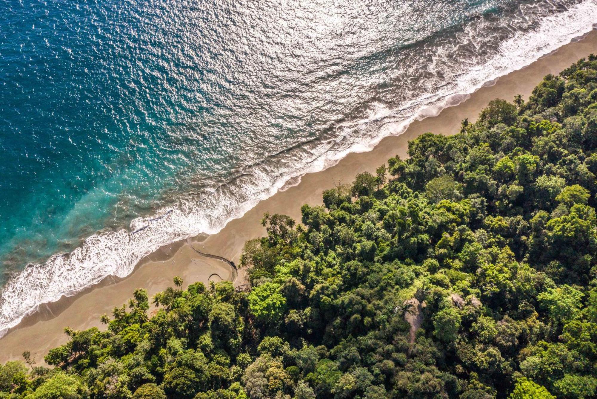 El Remanso Rainforest Lodge Puerto Jiménez Zewnętrze zdjęcie