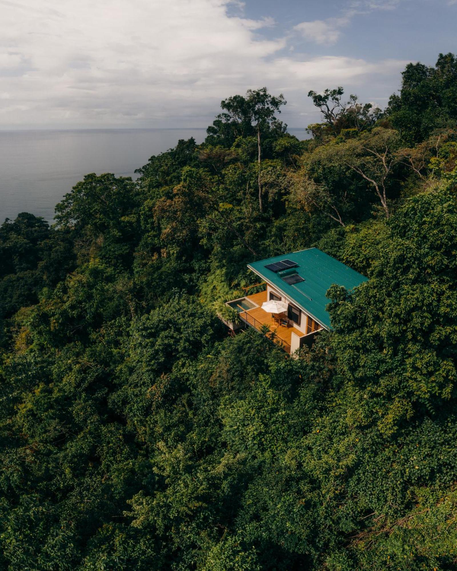 El Remanso Rainforest Lodge Puerto Jiménez Zewnętrze zdjęcie
