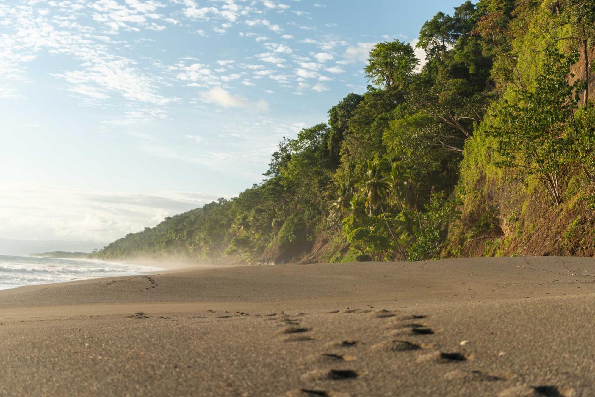 El Remanso Rainforest Lodge Puerto Jiménez Zewnętrze zdjęcie