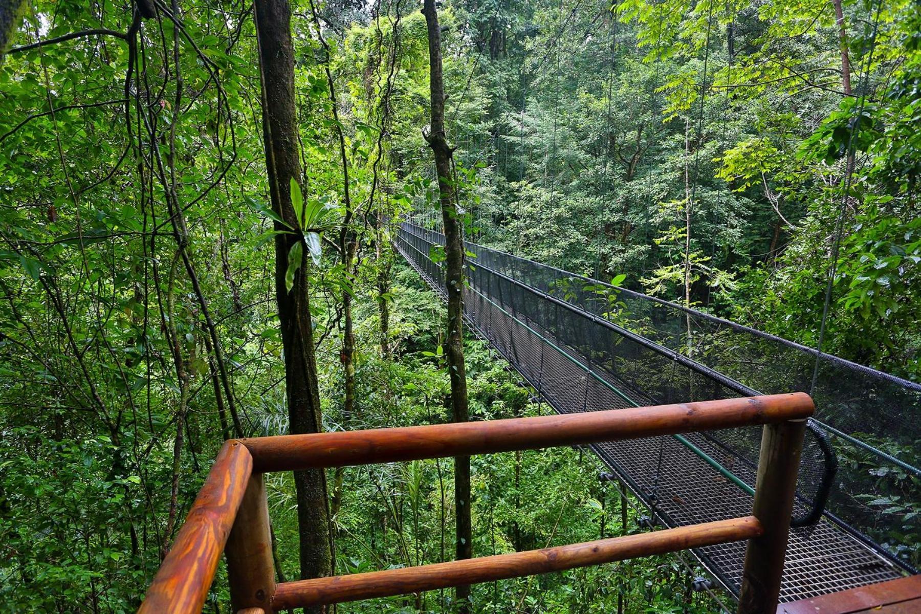 El Remanso Rainforest Lodge Puerto Jiménez Zewnętrze zdjęcie