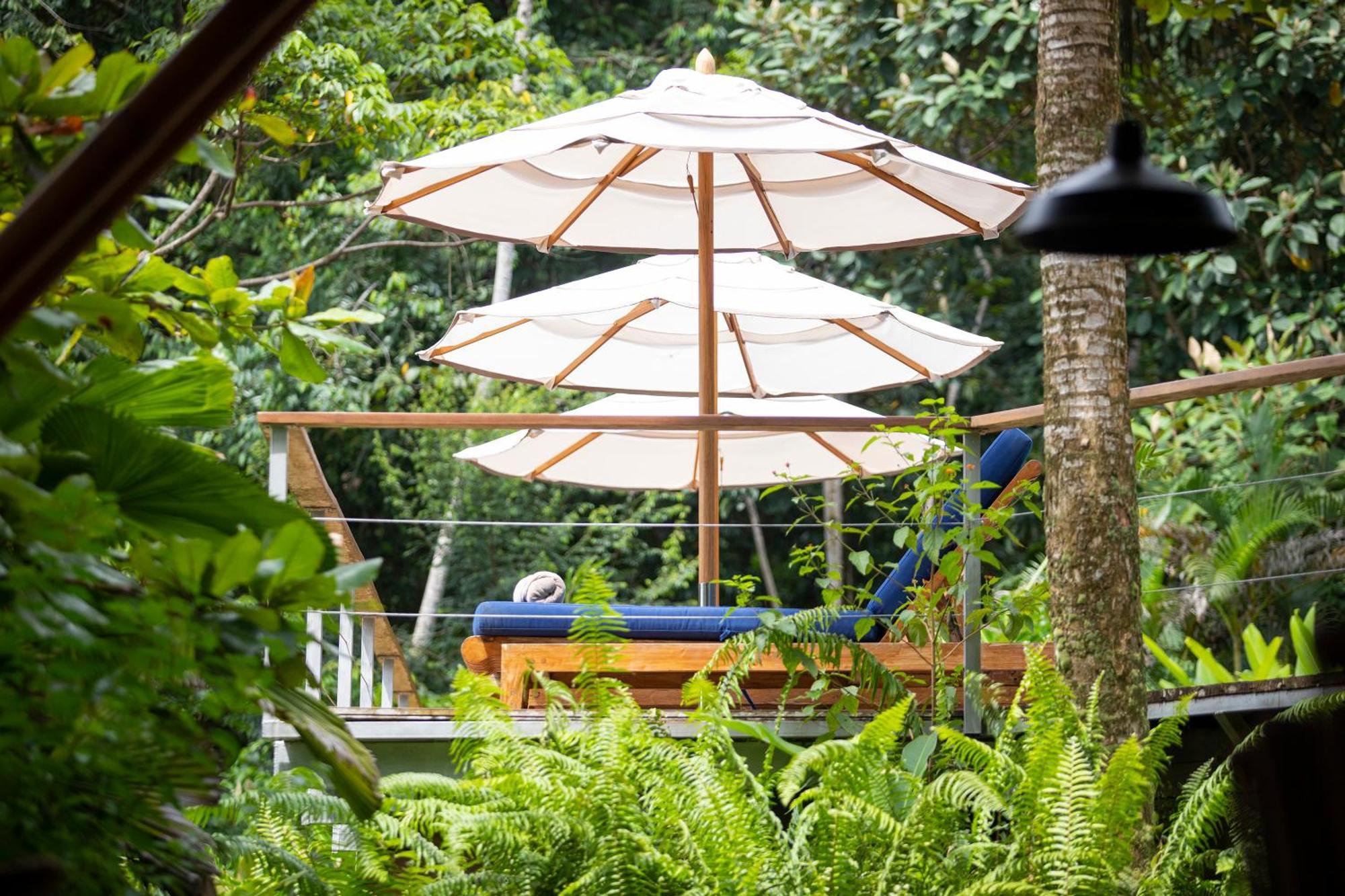El Remanso Rainforest Lodge Puerto Jiménez Zewnętrze zdjęcie