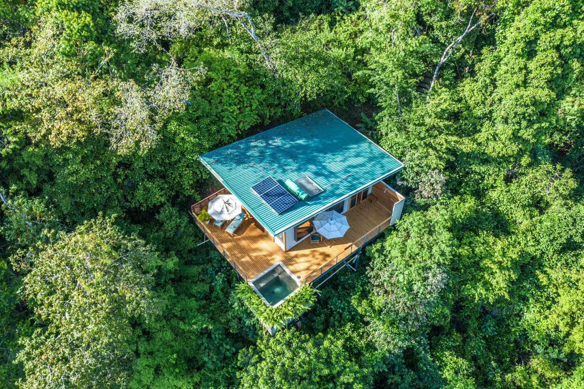 El Remanso Rainforest Lodge Puerto Jiménez Zewnętrze zdjęcie