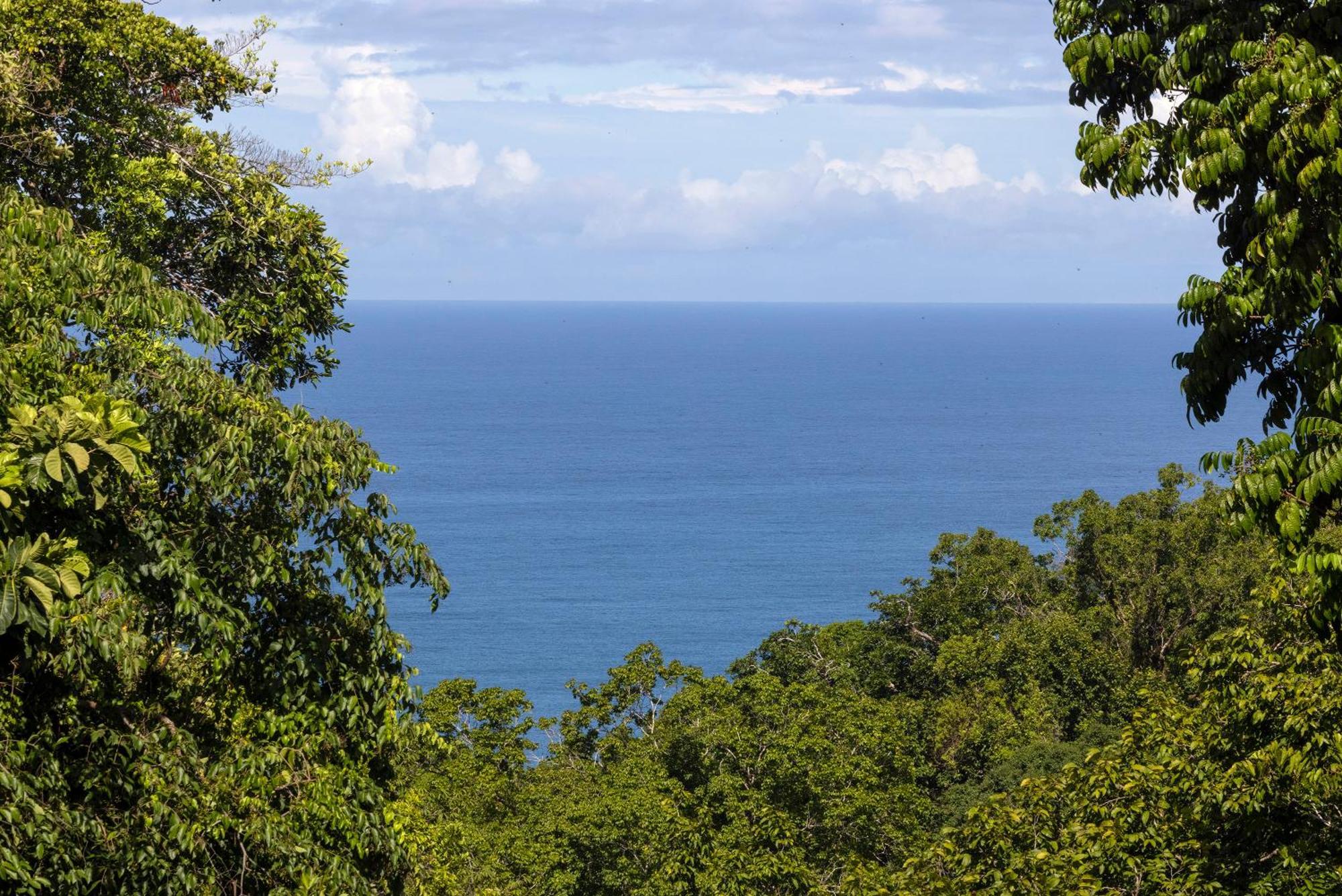 El Remanso Rainforest Lodge Puerto Jiménez Zewnętrze zdjęcie